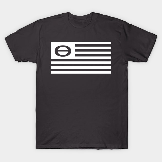 Ecology Flag circa 1969 T-Shirt by The North End (unofficial)